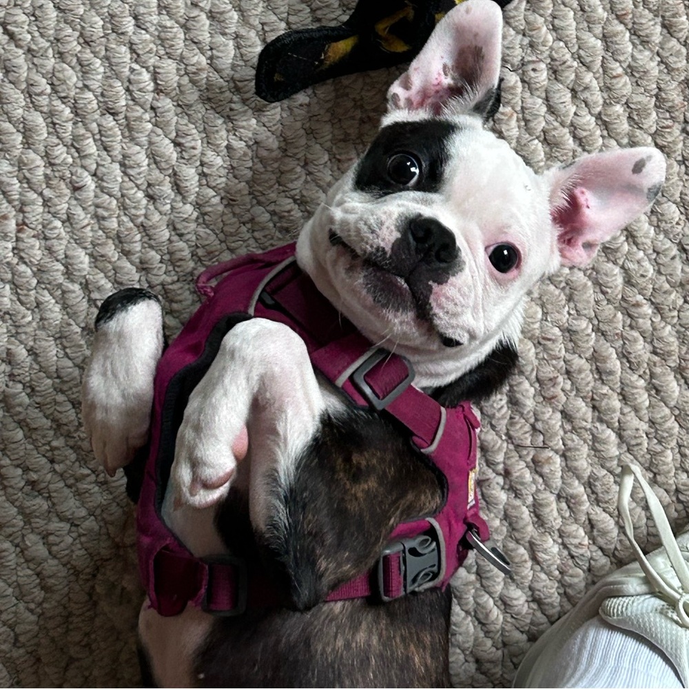 Jamie here - Picture 6 of 8